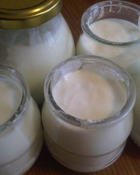 Домашний йогурт
