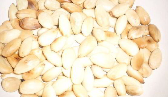 испанские шоколадные конфеты катаниас