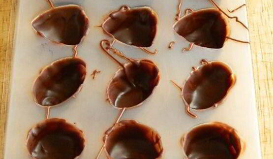 шоколадные конфеты с творожным сыром