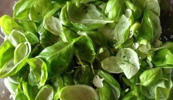 базиликовый курд