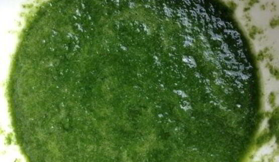 базиликовый курд