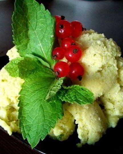 Рецепт мороженого из авокадо и лаймов