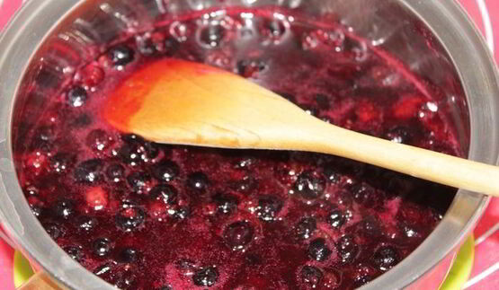 мороженое из черной смородины и йогурта