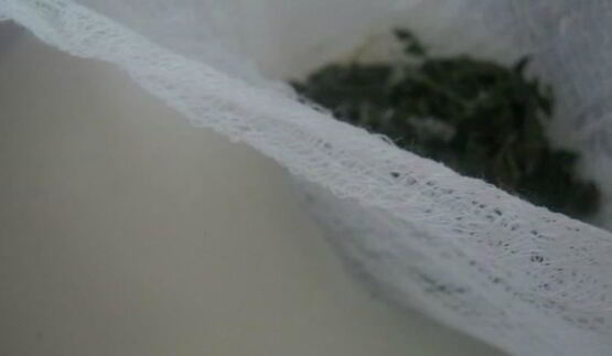 мороженое из зеленого чая с мятой и корицей