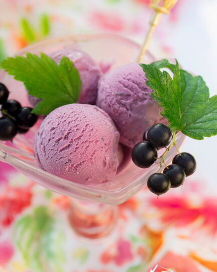 Рецепт мороженого с черной смородиной