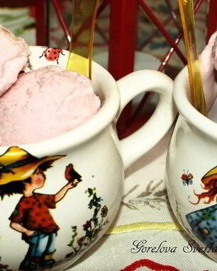 Вишневое творожно-йогуртовое мороженое