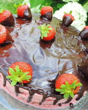 Торт-мусс Клубника в шоколаде