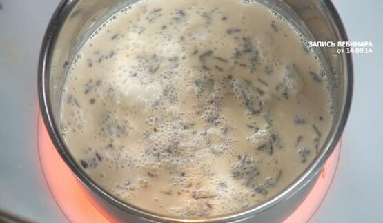 панна-котта с персиками, миндальным крамблом и мороженым