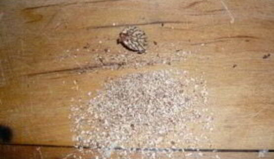 сырное фондю без вина