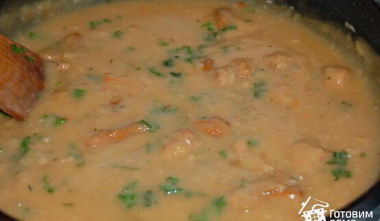 драники с грибами и грибным соусом