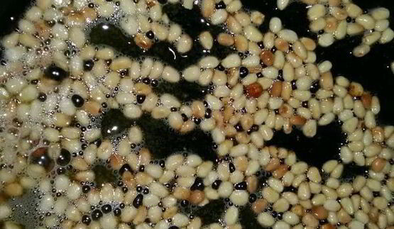 фрикадельки итальянские