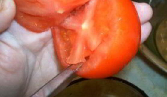 долма из овощей