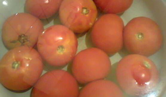 долма с баклажаном и болгарским перцем