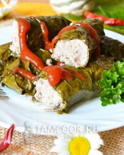 Рецепт долмы со свининой без риса