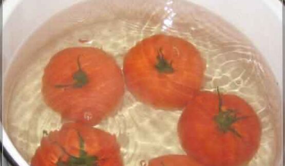 овощные голубцы