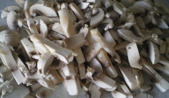 грибы бристольские