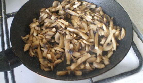 грибы бристольские