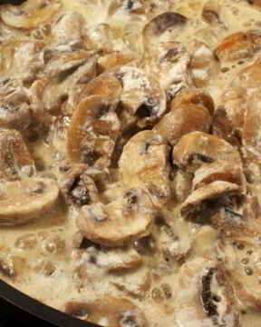 Грибы, тушенные в сливках