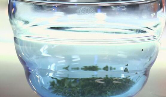 шампиньоны с яйцом и зеленью