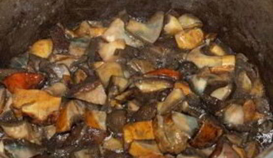 запеченные моховики