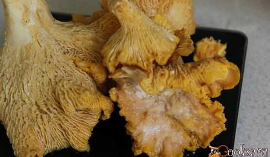 мясные котлеты с лисичками и гречневыми хлопьями