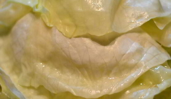 ленивый голубец-лазанья