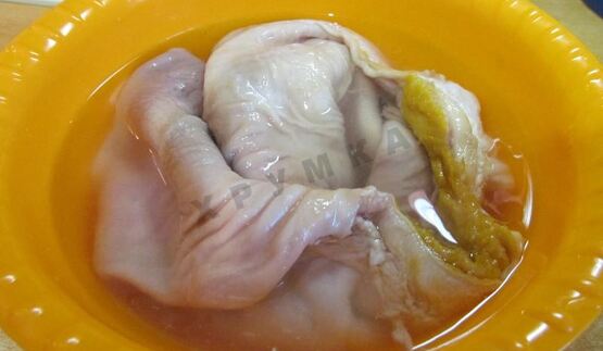 свиной желудок фаршированный