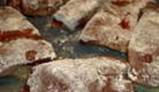 печень телячья по-берлински