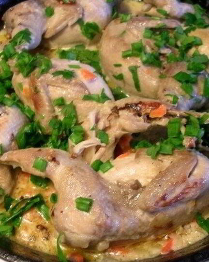 Рецепт фрикасе иза куропаток