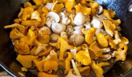 грибное рагу с уткой