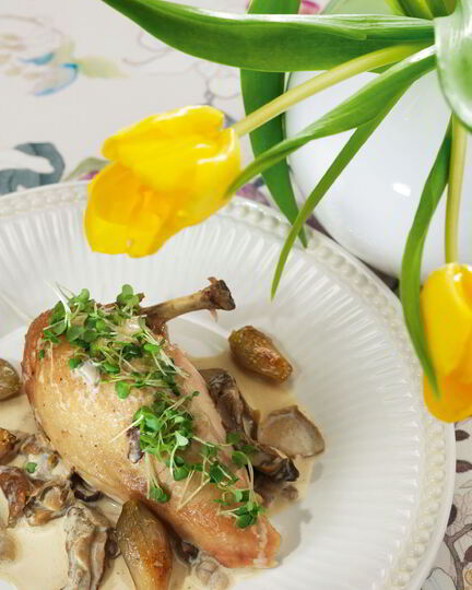 Рецепт куриного фрикасе с грибами