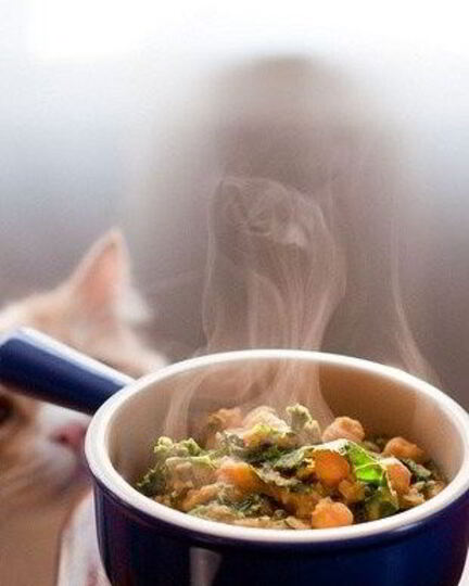 Рецепт рагу из чечевицы и белых грибов