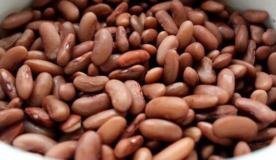 рагу из курицы с фасолью и запеченным чесноком