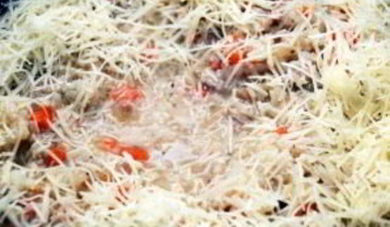 ризотто с индейкой