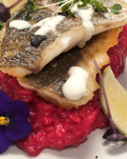 Рецепт сибаса на свекольном ризотто со сливочно-сырным соусом