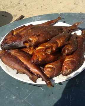 Копченый окунь