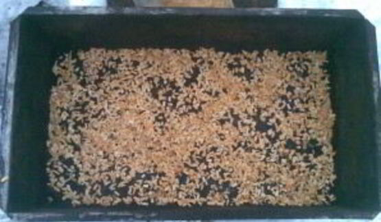 копченый окунь