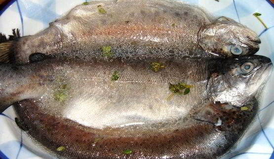 речная форель с овощами под белым винным соусом