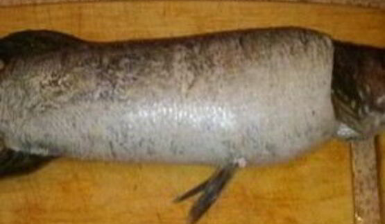 щука фаршированная