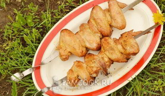 шашлык из куриных крылышек