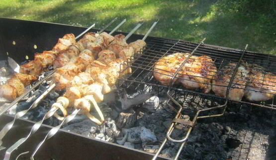 шашлык из курицы с лимоном