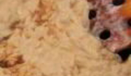 шашлык из рыбы с яблочным соусом