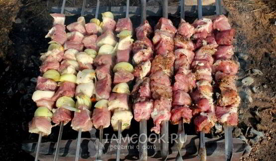 шашлык из свинины с луком в армянском маринаде