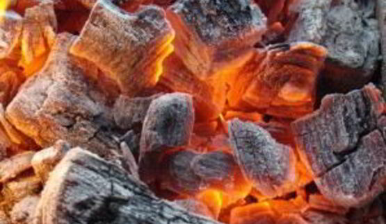 шашлык в майонезе