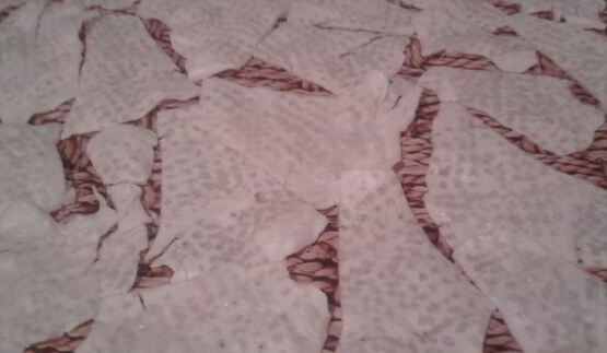 капустный шницель