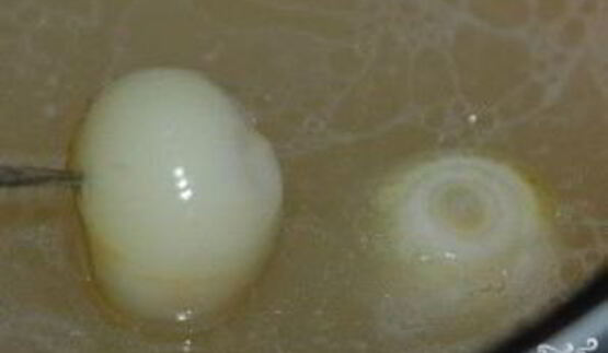 гороховая каша с мясом