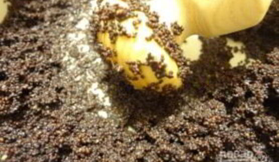 рождественская кутья с медовой водой