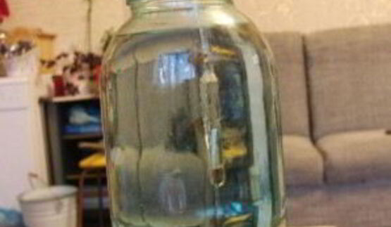 бражка из варенья