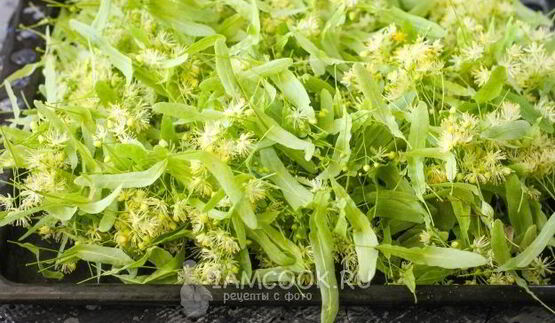 липовый чай