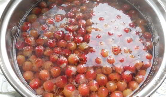 кисель из розового крыжовника